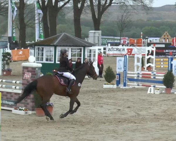 Lenklarer Reitertage 2014
