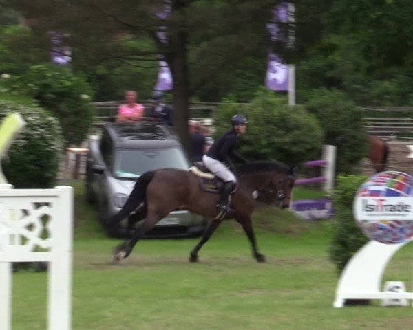 Reitturnier Scharnebeck 2025