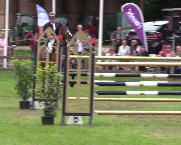 Reitturnier Scharnebeck 2025