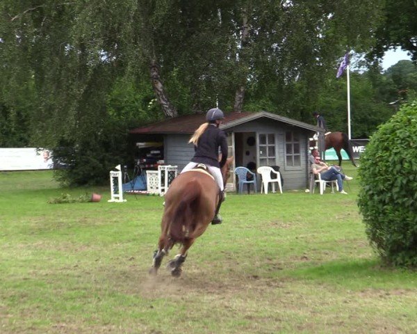 Reitturnier Scharnebeck 2025