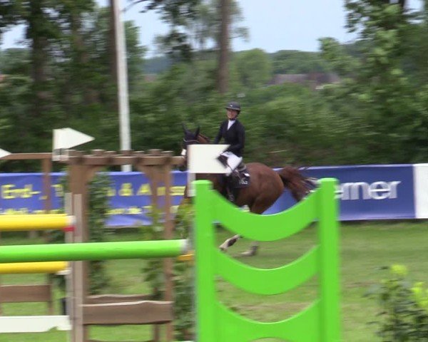 Reitturnier Scharnebeck 2025