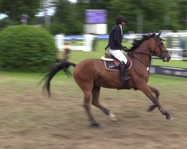 Reitturnier Scharnebeck 2025