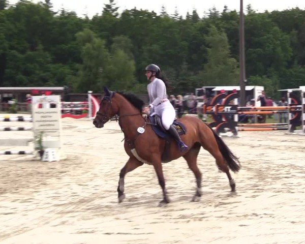 Reitturnier Kropp 2025