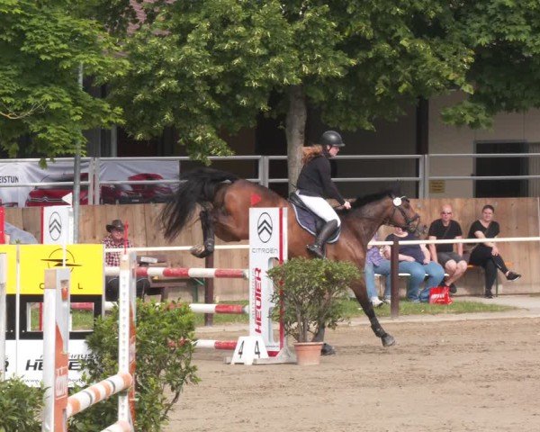 Reitturnier Kitzscher / Reitanlage Heuter 2025