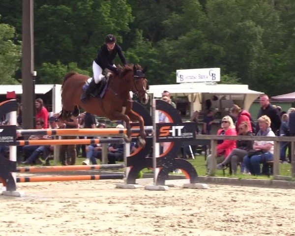Reitturnier Kropp 2025
