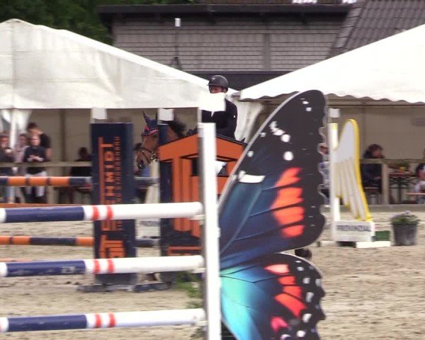 Reitturnier Kropp 2025