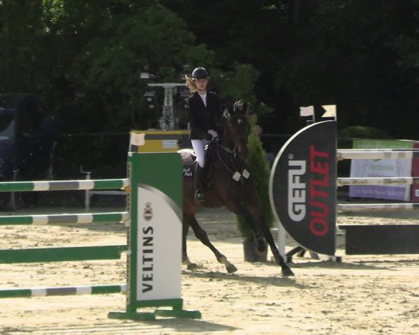 Reitturnier Hellefeld 2025