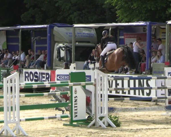 Reitturnier Hellefeld 2025