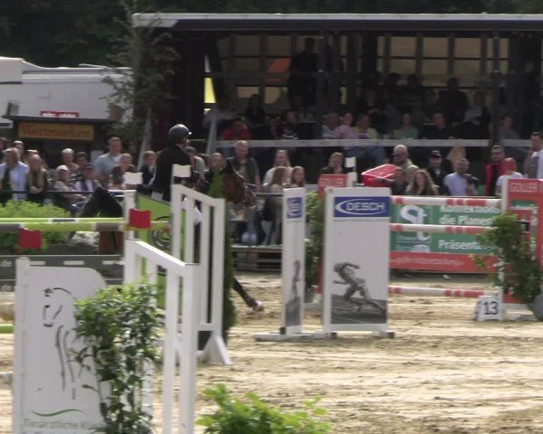 Reitturnier Hellefeld 2025