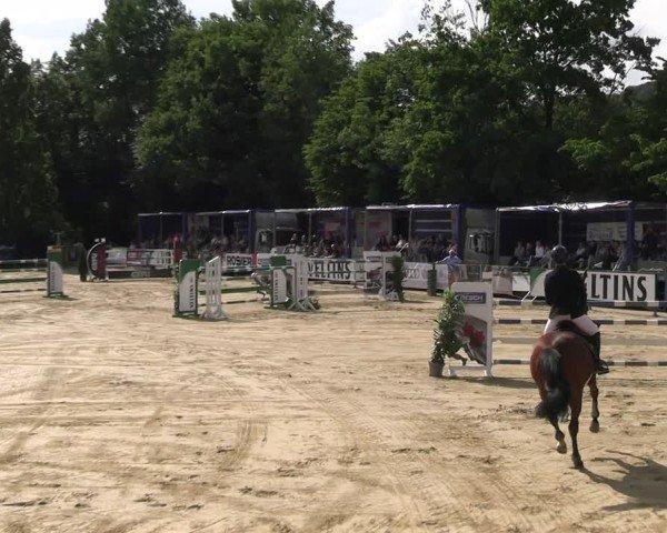 Reitturnier Hellefeld 2025