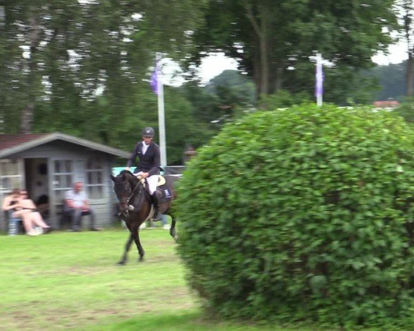 Reitturnier Scharnebeck 2025