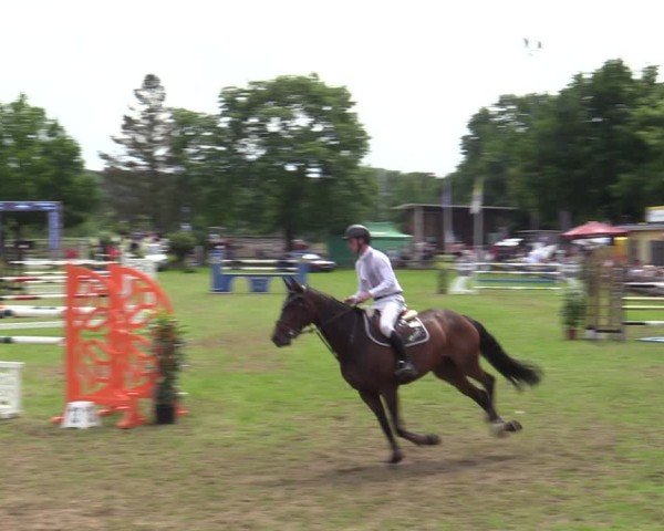 Reitturnier Scharnebeck 2025