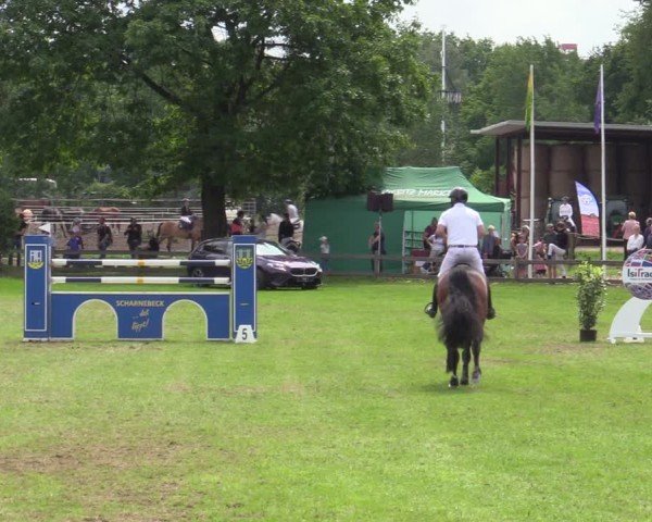 Reitturnier Scharnebeck 2025