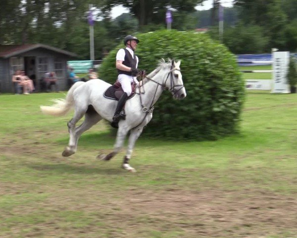 Reitturnier Scharnebeck 2025