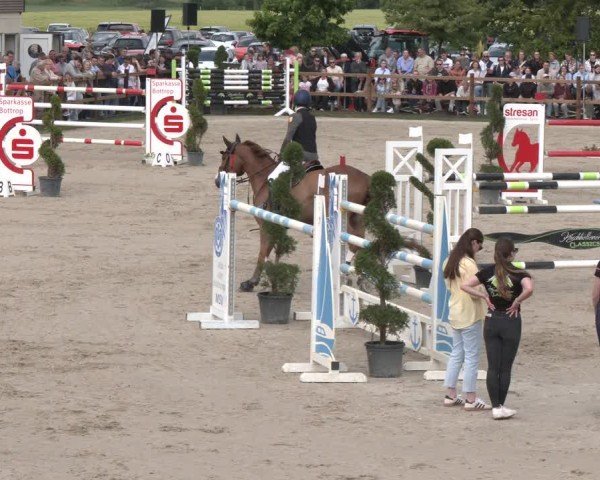 Reitturnier Kirchhellen/Stall Dieckmann 2025