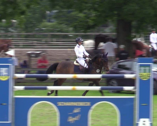 Reitturnier Scharnebeck 2025