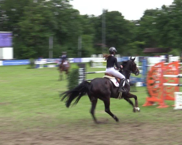 Reitturnier Scharnebeck 2025
