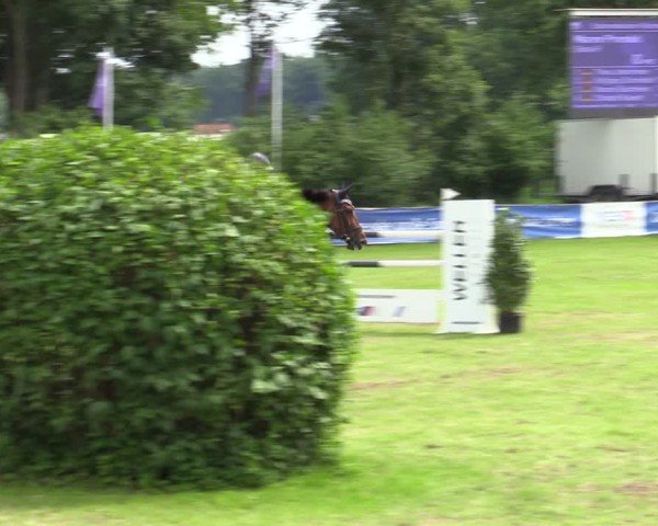 Reitturnier Scharnebeck 2025