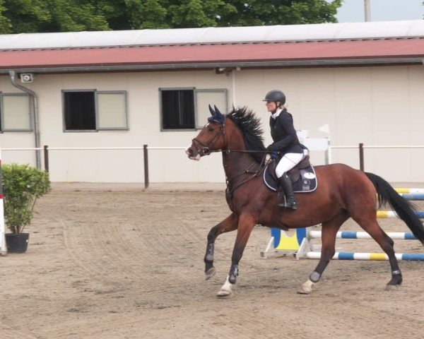 Reitturnier Kitzscher / Reitanlage Heuter 2025