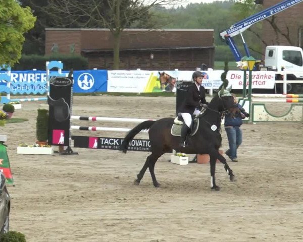 Lenklarer Reitertage 2014