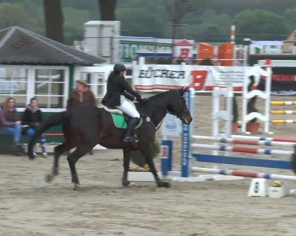 Reitturnier Werne-Lenklar 2014