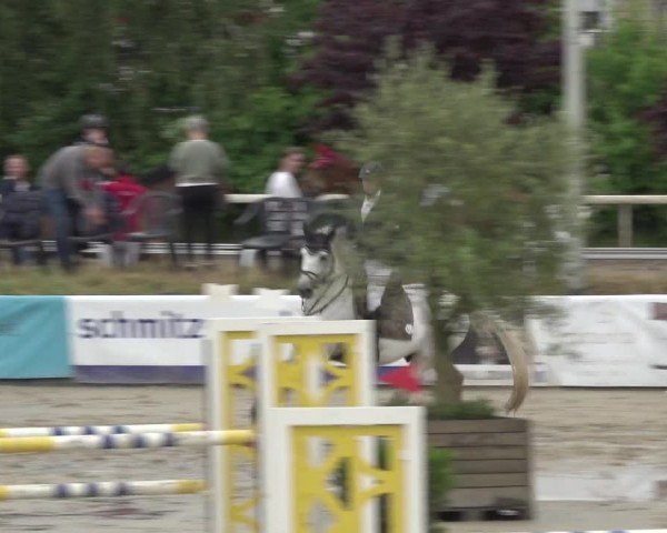 Reitturnier Bornheim-Widdig 2025