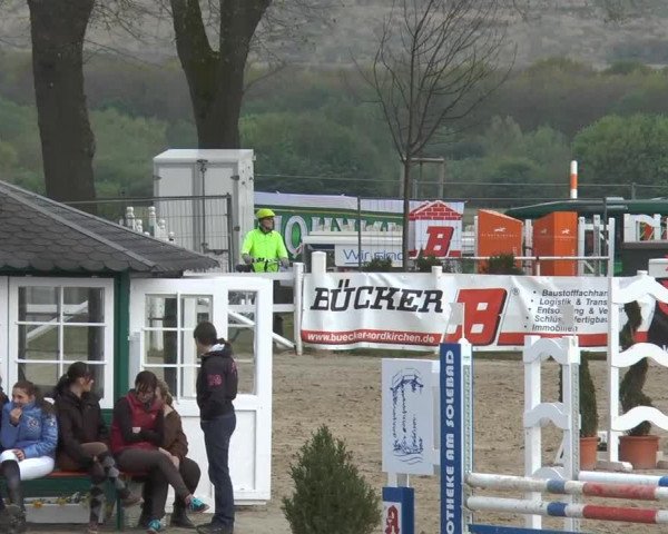 Reitturnier Werne-Lenklar 2014