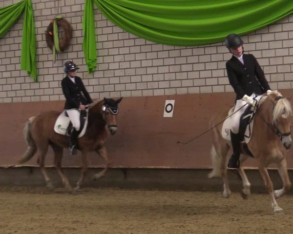Reitturnier Hellefeld 2025