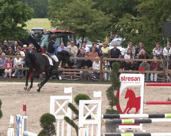 Reitturnier Kirchhellen/Stall Dieckmann 2025
