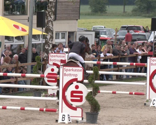 Reitturnier Kirchhellen/Stall Dieckmann 2025