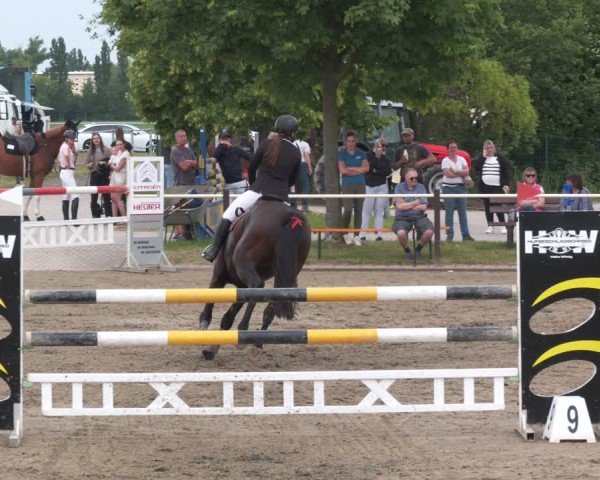 Reitturnier Kitzscher / Reitanlage Heuter 2025