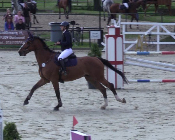 Reitturnier Hamm-Rhynern 2025
