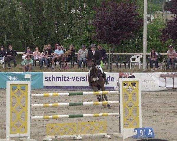 Reitturnier Bornheim-Widdig 2025