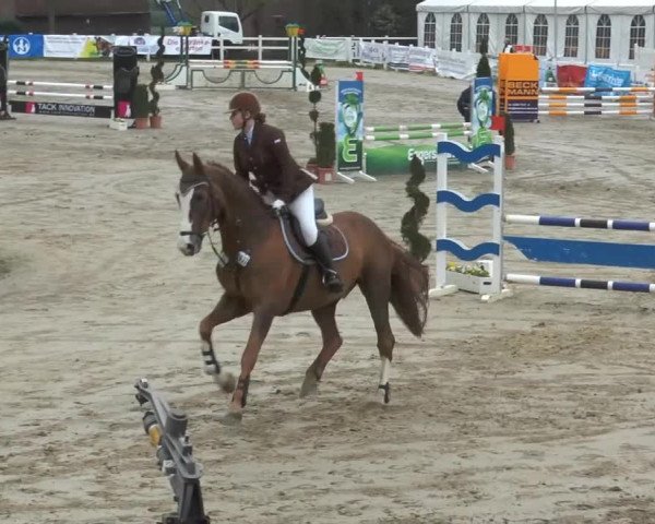 Lenklarer Reitertage 2014