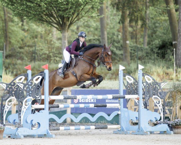 jumper Comme Convenu (Hanoverian, 2018, from Comme Prevu)