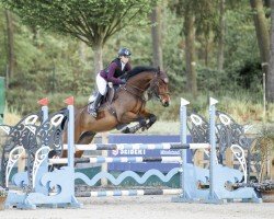 jumper Comme Convenu (Hanoverian, 2018, from Comme Prevu)