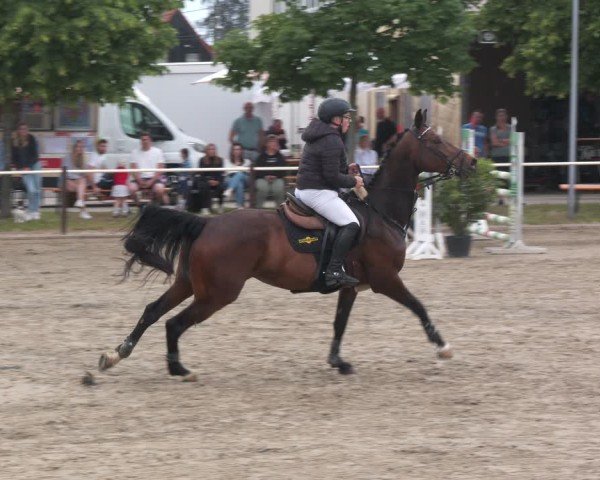 Reitturnier Kitzscher / Reitanlage Heuter 2025