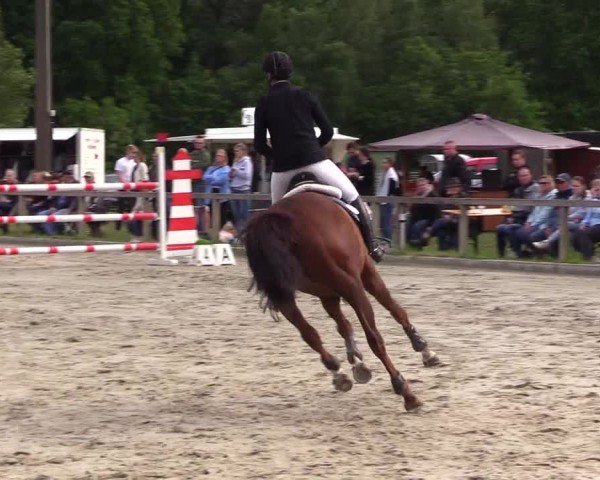 Reitturnier Kropp 2025