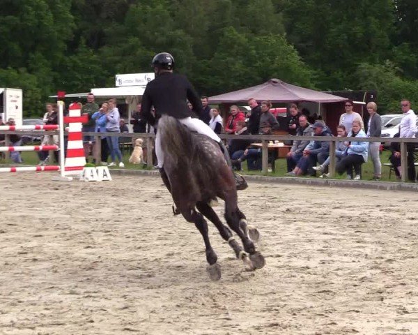 Reitturnier Kropp 2025
