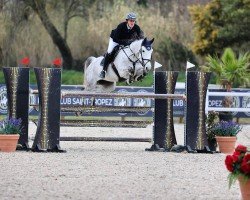 jumper Linda T (German Sport Horse, 2014, from Cadeau du Ciel 8)