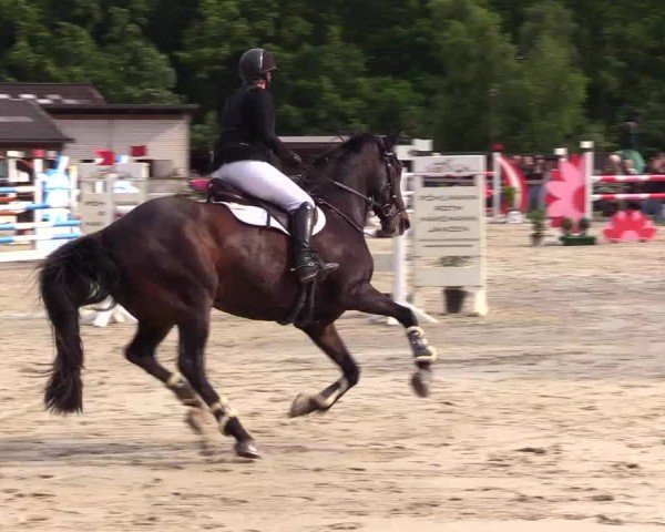 Reitturnier Kropp 2025
