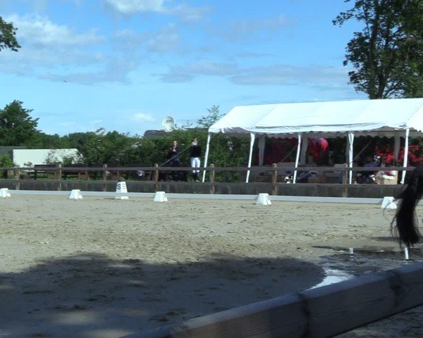 Reitturnier Scharnebeck 2025
