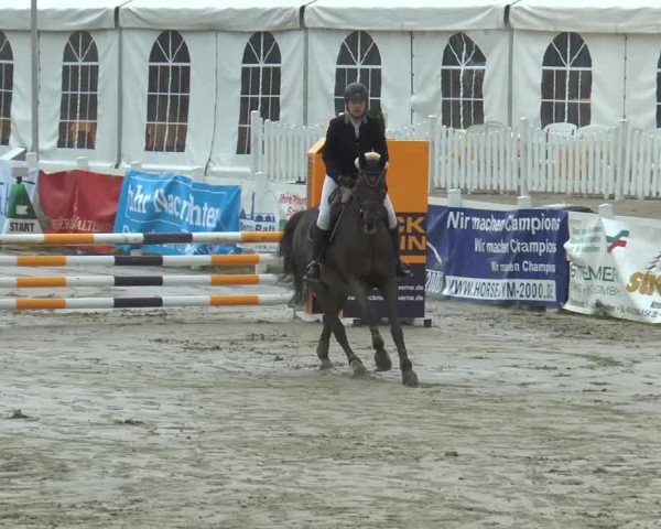 Lenklarer Reitertage 2014