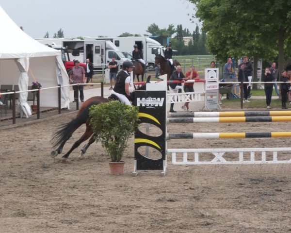 Reitturnier Kitzscher / Reitanlage Heuter 2025
