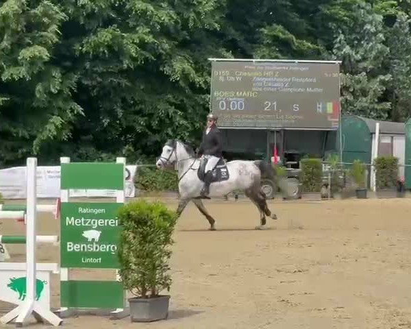 Video von Chesallo Hp Z