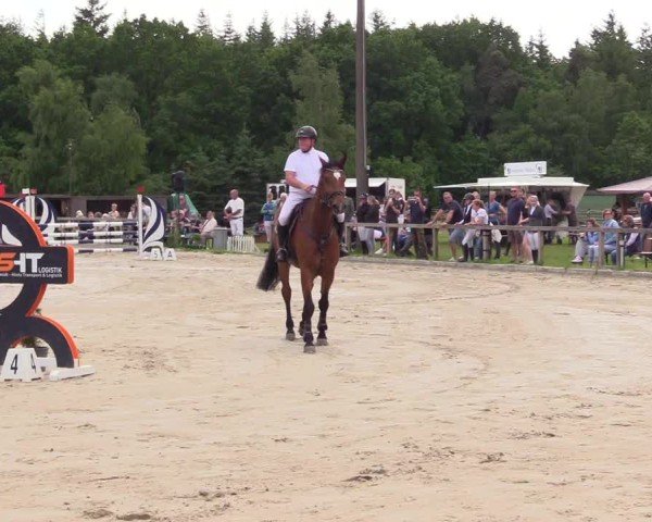 Reitturnier Kropp 2025