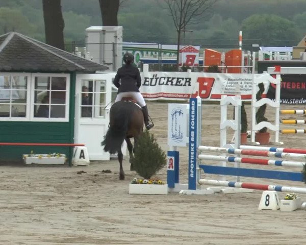 Reitturnier Werne-Lenklar 2014