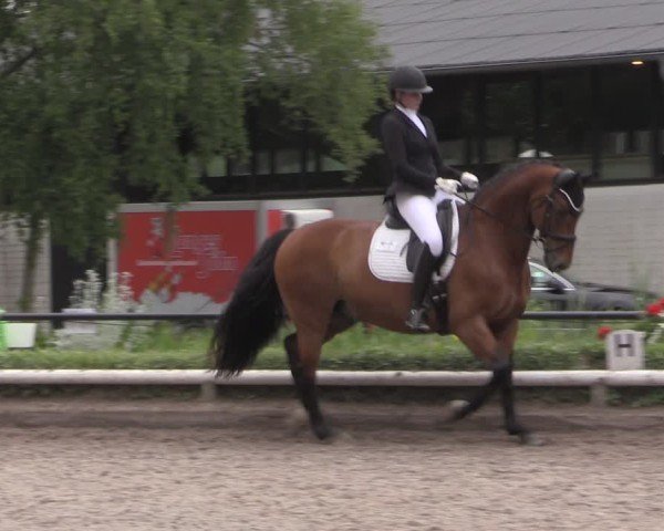 Reitturnier Hamm-Rhynern 2025