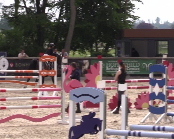 Reitturnier Ruhlsdorf 2025