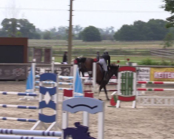 Reitturnier Ruhlsdorf 2025